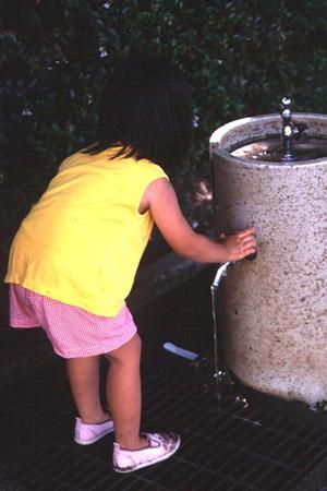 大阪堺市のビジネスホテル：東横INN堺東駅の徹底ガイドと魅力ポイント