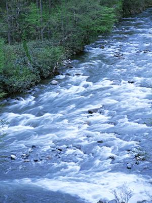 金沢の名所めぐりなら観光タクシーが便利