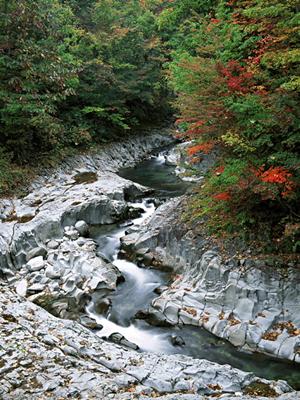 板橋本町にある数多くの台がある専門店
