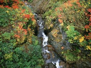 西葛西で快適な滞在を実現する！東横INN東西線西葛西：便利なアクセスと充実の設備を誇るビジネスホテルの魅力