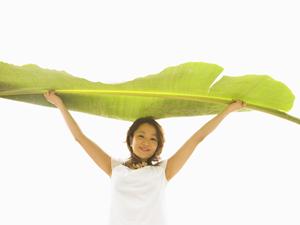 千葉県流山市にある快適なビジネスホテル、東横INN流山おおたかの森駅前の詳細ガイド