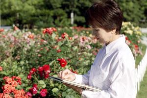 黒川温泉の魅力を知ることができる旅館