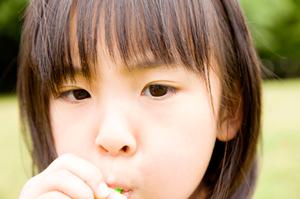 伊勢市駅すぐそば！東横INN伊勢市駅の魅力と詳細情報