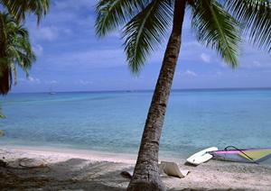 四季を問わず楽しむことができる白馬