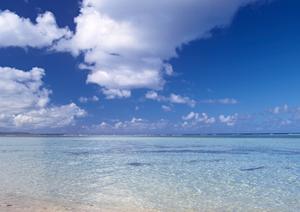 小豆島観光の移動で便利に使えるフェリー