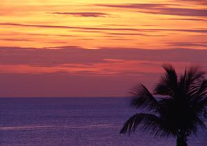 対馬の絶景と快適さを両立した東横INN対馬比田勝の魅力