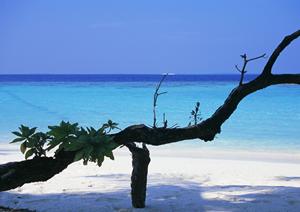 快適なビジネス滞在を実現！東横INN池袋北口2の魅力と詳細情報