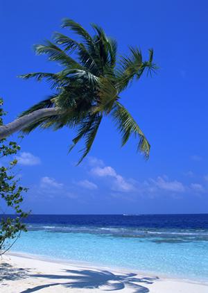 【公式】東横INN阪神尼崎駅前｜便利なアクセスと快適な滞在を提供する兵庫県尼崎市のビジネスホテル