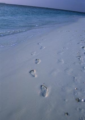 仙台駅から徒歩7分！快適な滞在を提供する東横INN仙台東口1号館の魅力と詳細情報