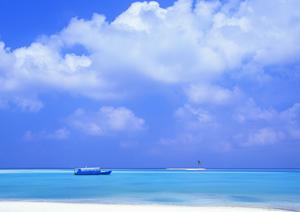 津駅から徒歩3分の快適ビジネスホテル｜東横INN津駅西口の魅力と詳細情報