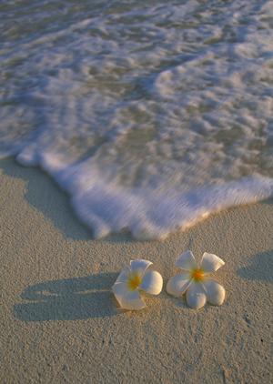 温泉宿のホテル白馬で自然を満喫