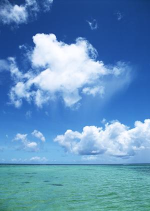 大阪市中心部からアクセス抜群！東横INN新大阪中央口本館の魅力と詳細情報