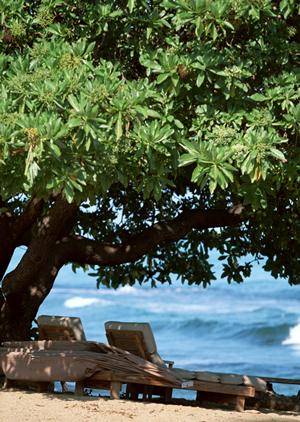 【正式版】東横INN東京八王子駅北口の魅力と詳細ガイド