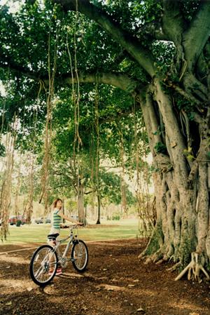 山口県周南市のビジネスホテル：東横INN徳山駅北口の最新情報と魅力紹介